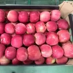 Польские яблоки от производителя