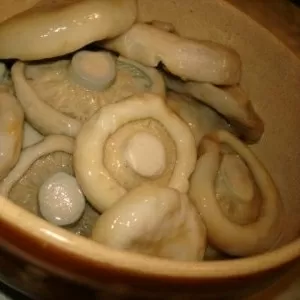 соленые грибы ГРУЗДИ