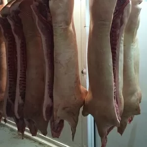 Свинина полутуши (окорок,  шея,  корейка) от 20 тн