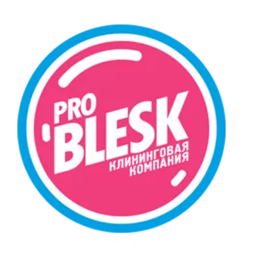  Клининговая компания Problesk предоставляет услуги 
